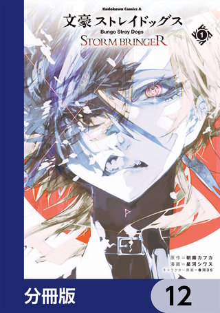 文豪ストレイドッグス ＳＴＯＲＭ ＢＲＩＮＧＥＲ【分冊版】　12