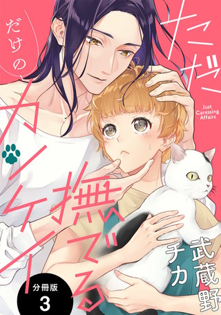 ただ撫でるだけのカンケイ 分冊版(3)