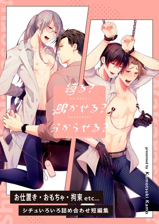 縛る？鳴かせる？分からせる？お仕置き・おもちゃ・拘束etc…シチュいろいろ詰め合わせ短編集