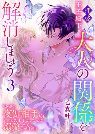 拝啓王子殿下、大人の関係を解消しましょう　～「ただの夜伽相手だ」と言った王子が、なぜか溺愛してくるのですが!? ～(3)