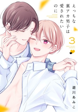 えっちな裏アカ男子は愛されたいのに(3)【おまけ描き下ろし付き】