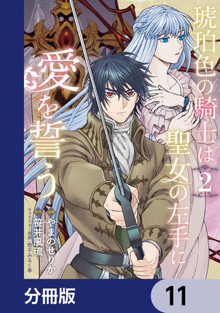 琥珀色の騎士は聖女の左手に愛を誓う【分冊版】　11