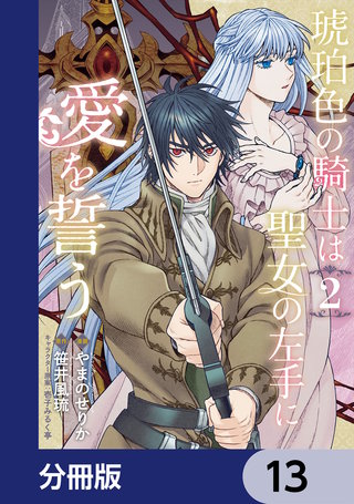 琥珀色の騎士は聖女の左手に愛を誓う【分冊版】　13