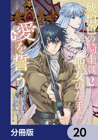 琥珀色の騎士は聖女の左手に愛を誓う【分冊版】　20