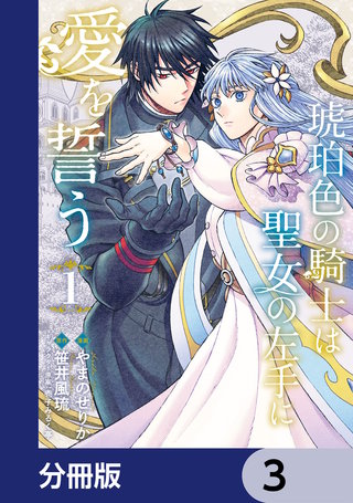 琥珀色の騎士は聖女の左手に愛を誓う【分冊版】　3