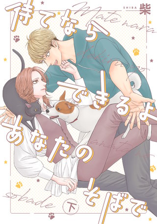 待てならできるよあなたのそばで 下