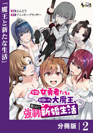 冗談で女勇者たちを口説いた大魔王、攫われて強制新婚生活【分冊版】(2)