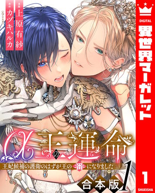 【合本版】α王の運命~王妃候補の護衛のはずが王の番になりました~