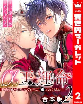 【合本版】α王の運命～王妃候補の護衛のはずが王の番になりました～ 2