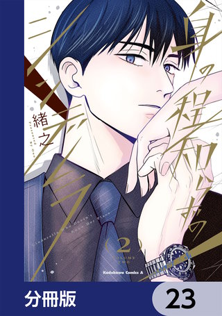 身の程知らずのシンデレラ【分冊版】　23