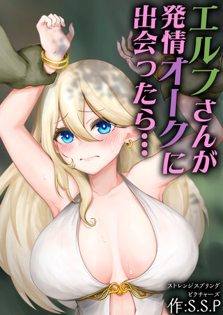 エルフさんが発情オークに出会ったら…