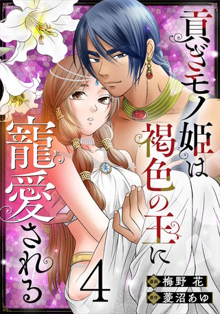 貢ぎモノ姫は褐色の王に寵愛される(4)