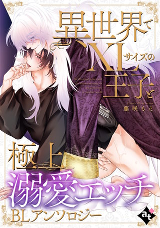 異世界でXLサイズの王子と極上溺愛エッチBLアンソロジー