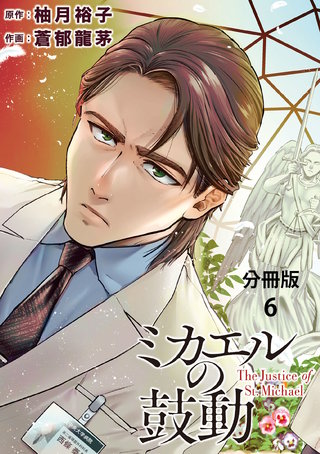 【分冊版】ミカエルの鼓動 6
