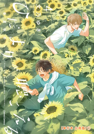 ひだまりが聴こえる-春夏秋冬-4【単行本 分冊版】