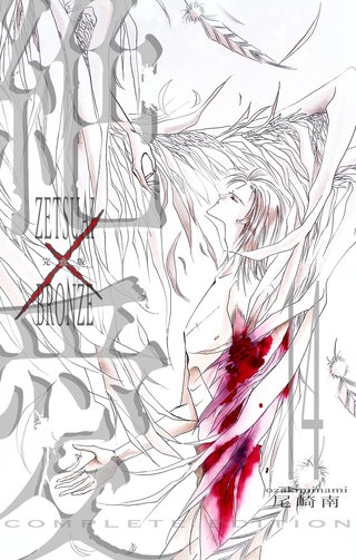 絶愛／BRONZE 完全版 14