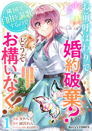 お前呼ばわりで婚約破棄？隣国で自由を謳歌するのでどうぞお構いなく！～追放令嬢、実は最強精霊師でした～