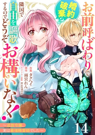 Berry'sFantasyお前呼ばわりで婚約破棄？隣国で自由を謳歌するのでどうぞお構いなく！～追放令嬢、実は最強精霊師でした～(14)