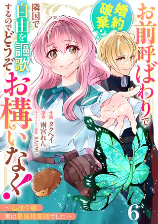 Berry'sFantasyお前呼ばわりで婚約破棄？隣国で自由を謳歌するのでどうぞお構いなく！～追放令嬢、実は最強精霊師でした～(6)