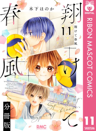 翔けて春風 分冊版 11