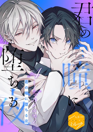 君の瞳に堕ちる夜 分冊版(4)