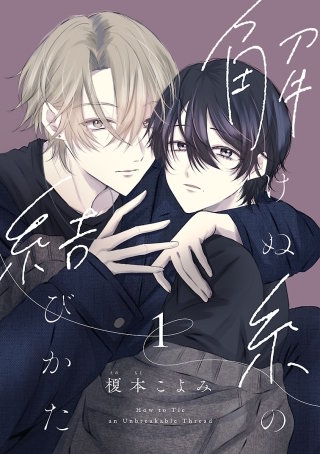 解けぬ糸の結びかた