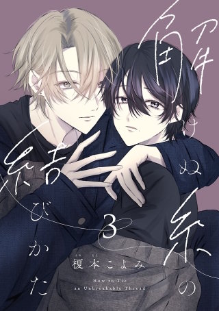 解けぬ糸の結びかた(3)