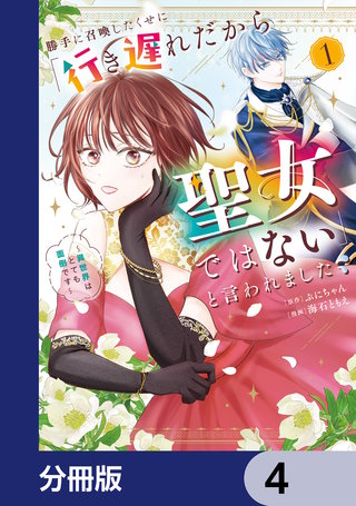 勝手に召喚したくせに「行き遅れだから聖女ではない」と言われました　～異世界はとても面倒です～【分冊版】　4