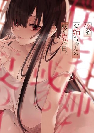 僕とお姉ちゃんの或る夏の日。