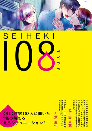 SEIHEKI 108 TYPE