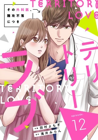 comic Berry’sテリトリーラブ～その外科医、難攻不落につき～12巻