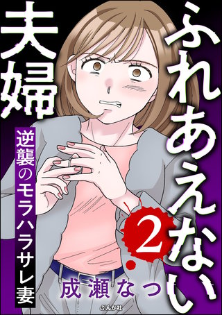 ふれあえない夫婦 逆襲のモラハラサレ妻(2)