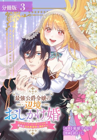 最強公爵令嬢の辺境おしかけ婚 フラウリーナ・ローゼンハイムは運命の追放魔導師に嫁ぎたい 分冊版(3)