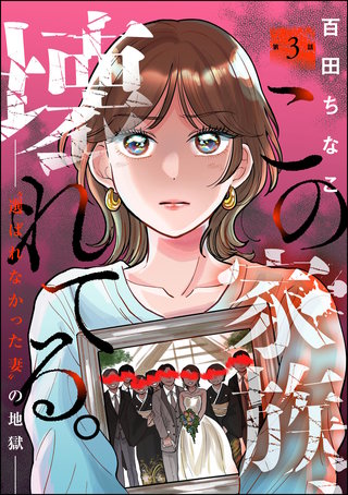 この家族、壊れてる。 ～“選ばれなかった妻”の地獄～（分冊版）【第3話】