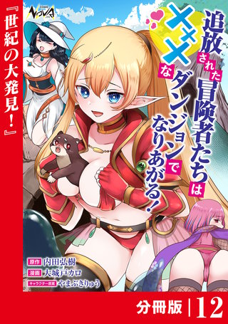追放された冒険者たちはXXXなダンジョンでなりあがる！【分冊版】１２