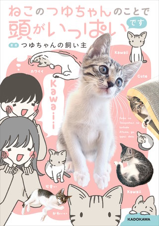 ねこのつゆちゃんのことで頭がいっぱいです