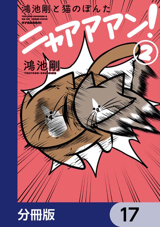 鴻池剛と猫のぽんた ニャアアアン！【分冊版】　17