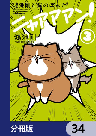鴻池剛と猫のぽんた ニャアアアン！【分冊版】　34