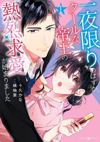 一夜限りのはずが、クールな帝王の熱烈求愛が始まりました