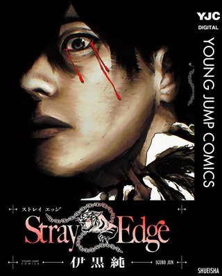 Stray Edge