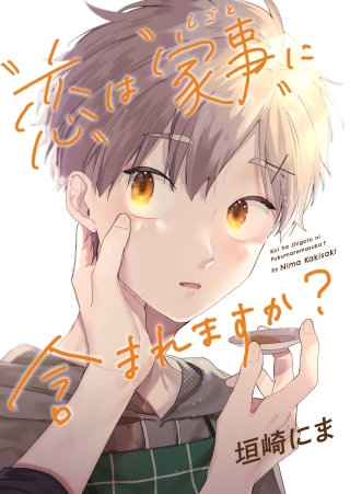 「恋」は「家事（しごと）」に含まれますか？【完全版】