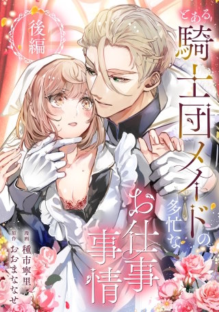 とある騎士団メイドの多忙なお仕事事情　後編