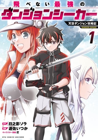 飛べない最強のダンジョンシーカー　天空ダンジョン攻略記