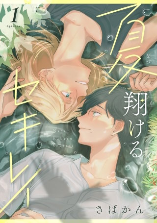 夏翔けるセキレイ