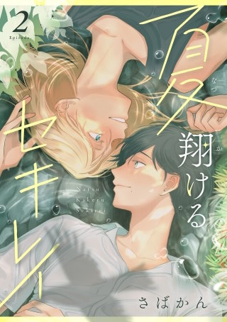 夏翔けるセキレイ2