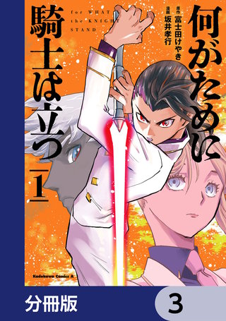 何がために騎士は立つ【分冊版】　3