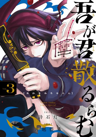 吾が君散るらむ(3)