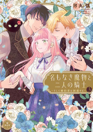 名もなき魔物と二人の騎士～そして婚約者は困惑する～(3)【電子限定特典おまけページ付き】