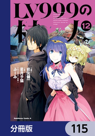 LV999の村人【分冊版】　115