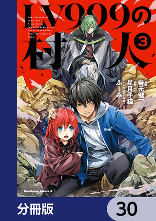 LV999の村人【分冊版】　30